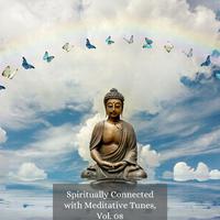 Spiritually Connected with Meditative Tunes, Vol. 08