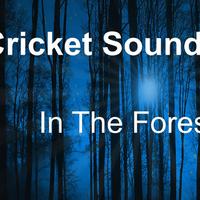 Crickets Tinnitus Relaxation