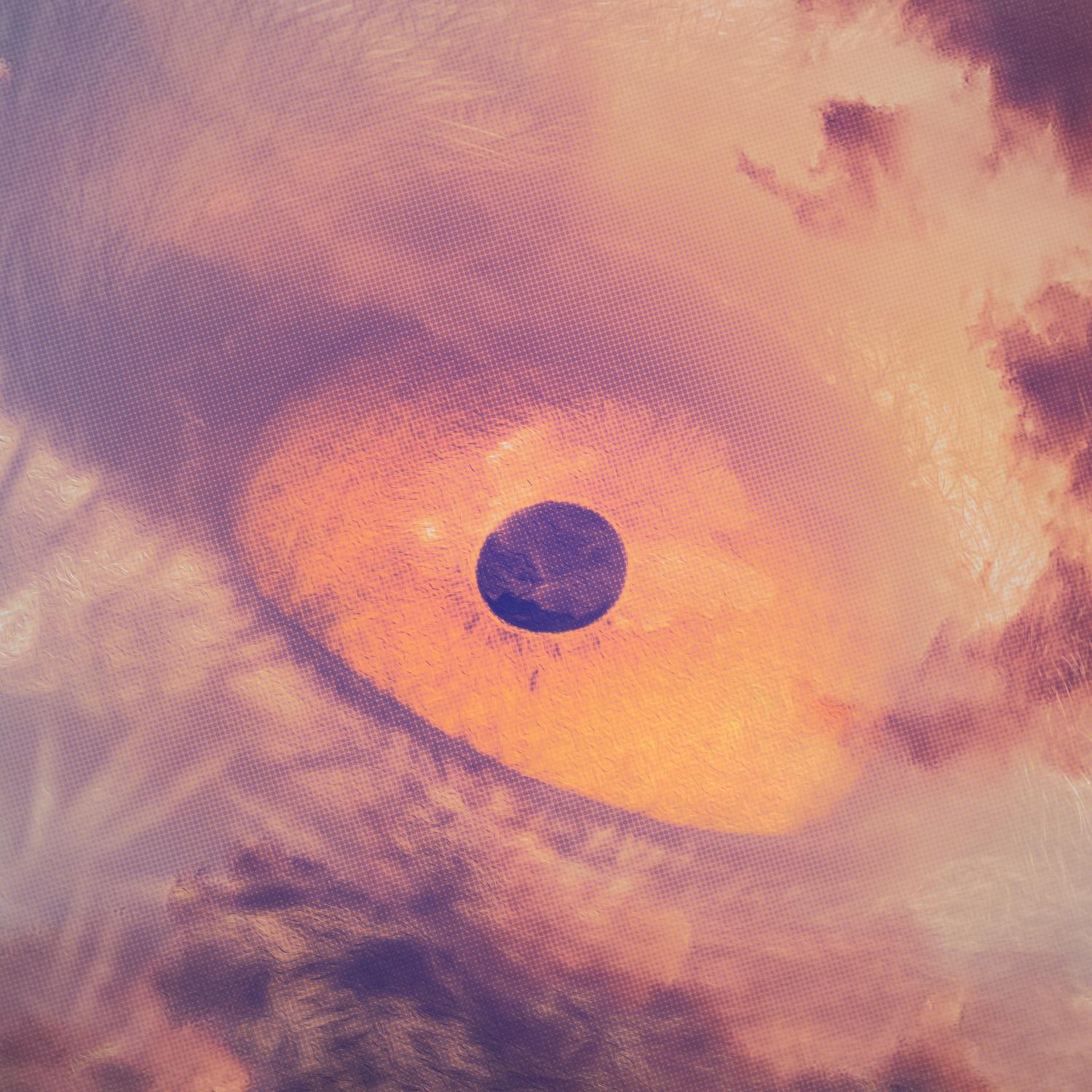 Float Away (Birds Eye)