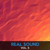 Real Sound, Vol. 5