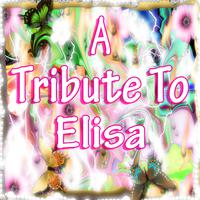 A Tribute to Elisa