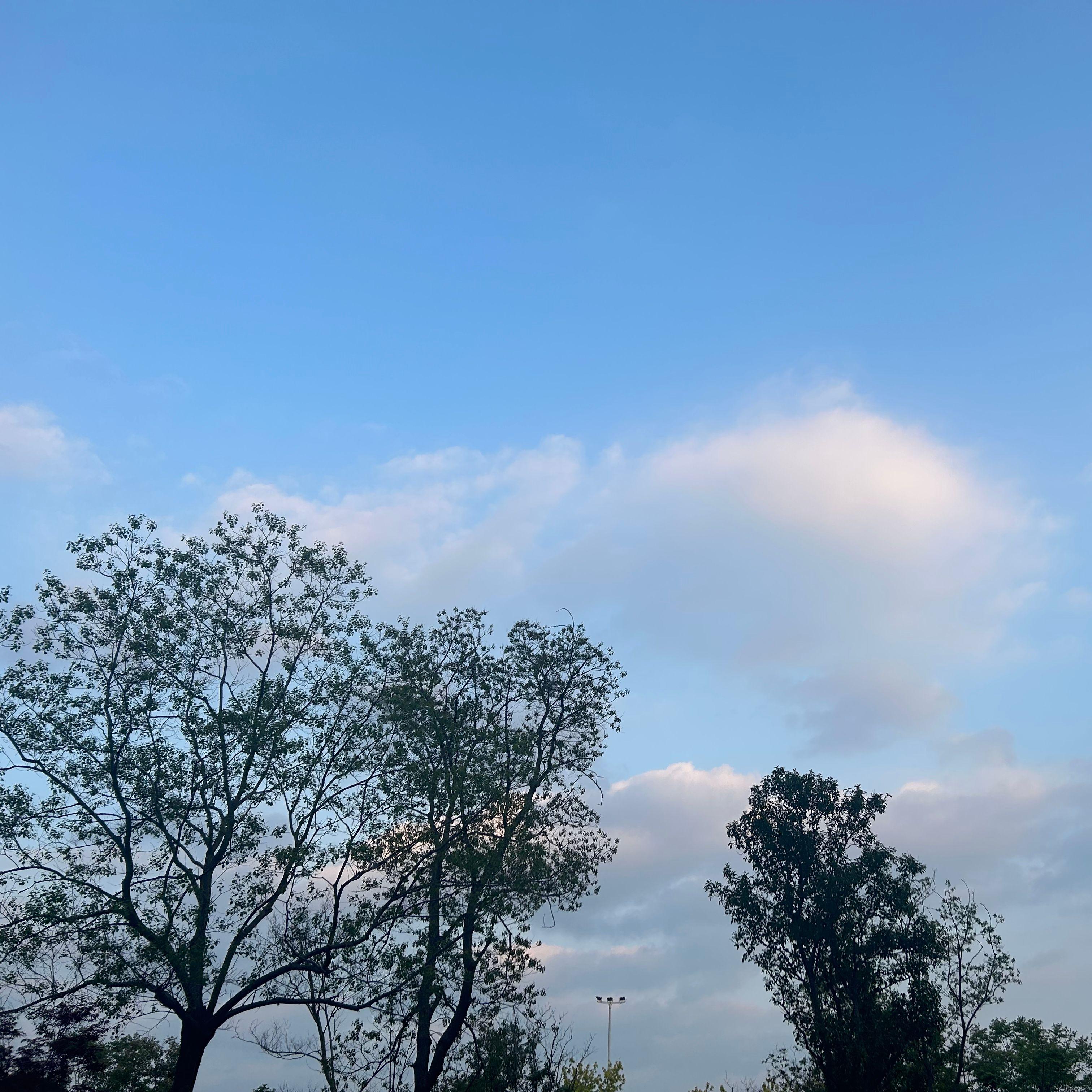 玲珑心封面