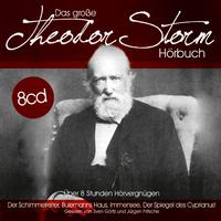 Das grosse Theodor Storm Hörbuch