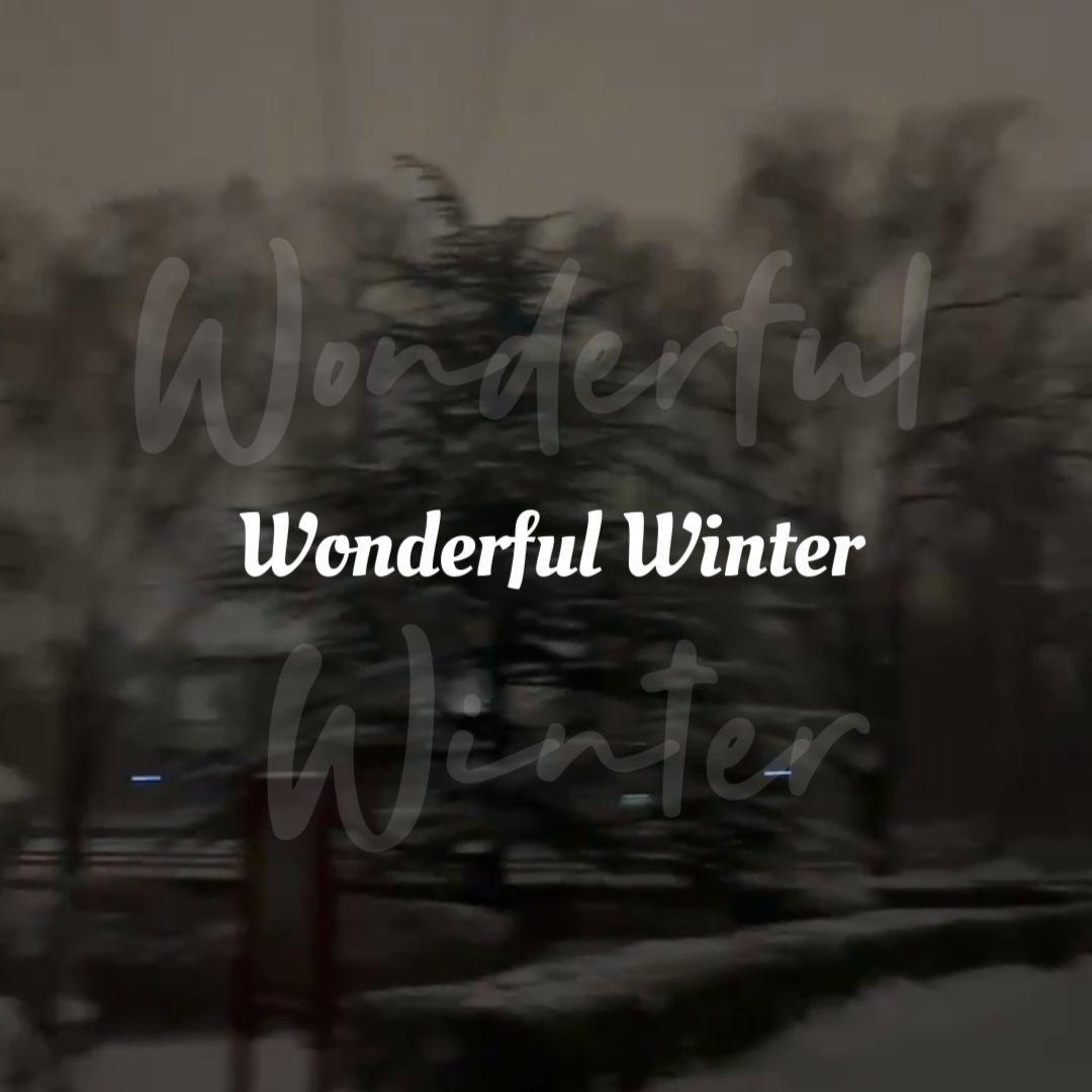 Wonderful Winter(Prod by lmagine Beat)