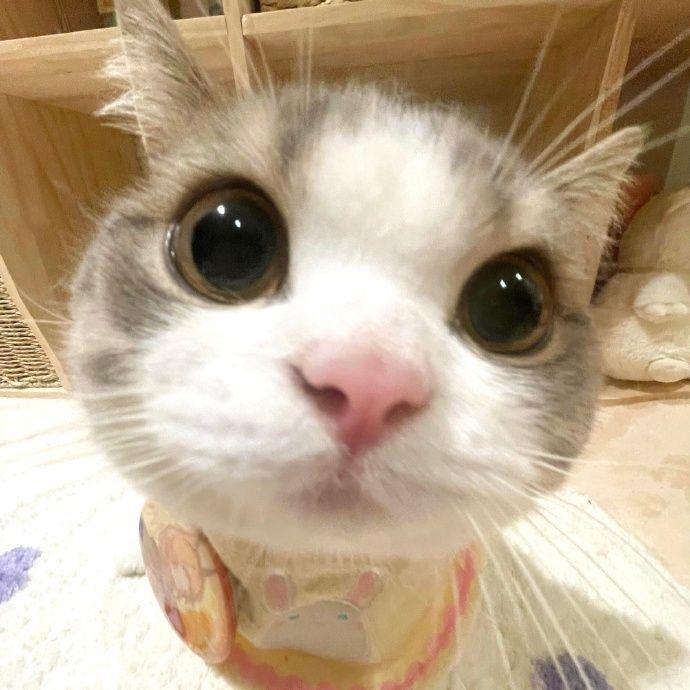 单程渡口封面