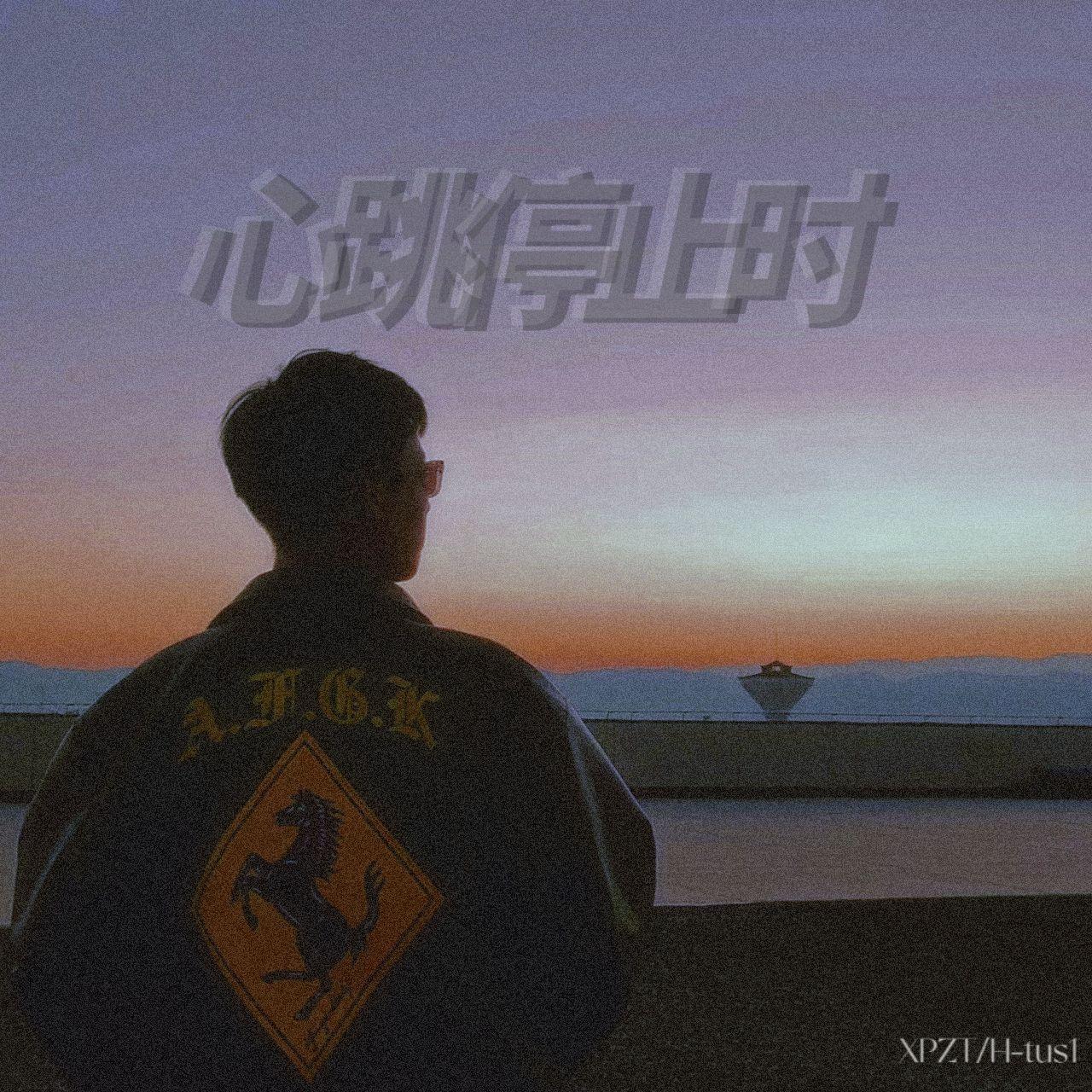 心跳停止时封面