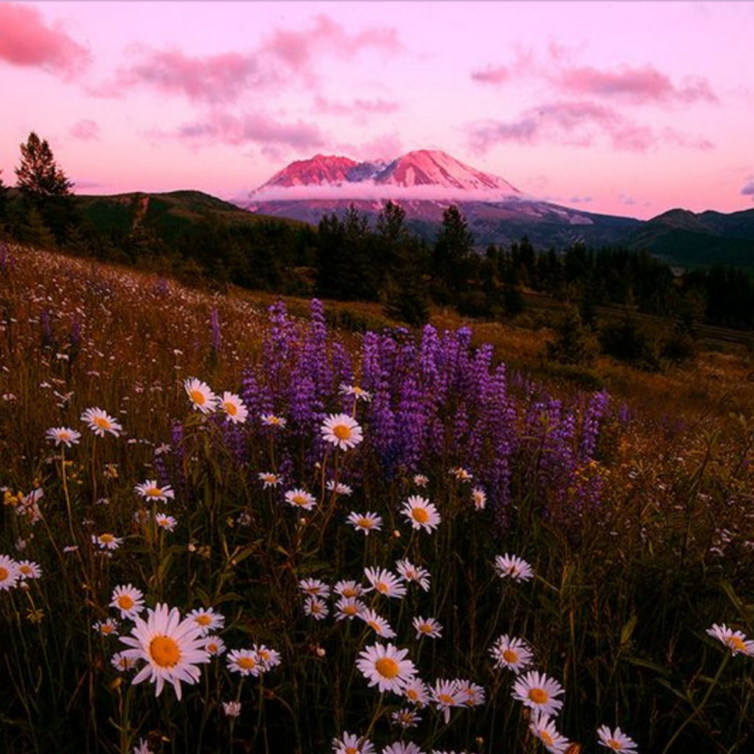 "Perfume" The Kid LAROI x Juice WRLD Type Beat