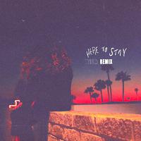 Here to Stay (Thrd Remix)