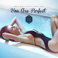 You Are Perfect - Soft Deep House Emotions