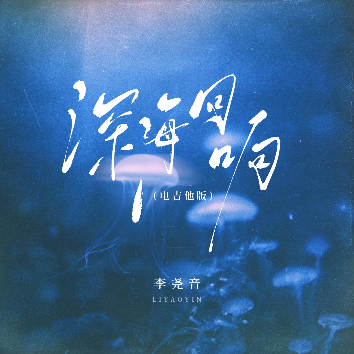 深海回响(电吉他版)封面