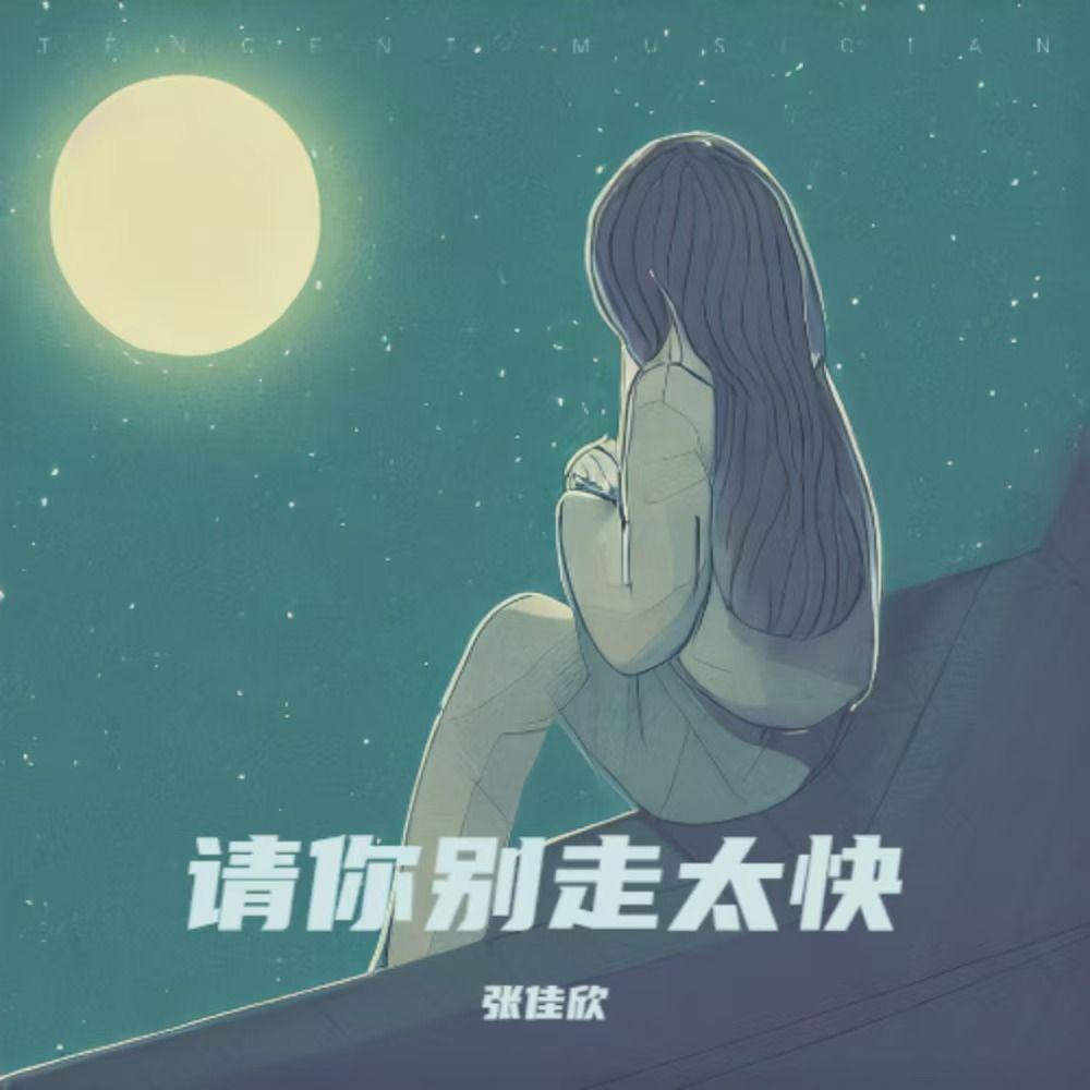 请你别走太快封面