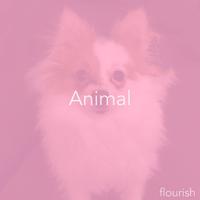 Animal - Single