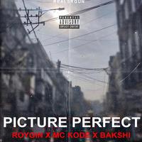 Picture Perfect (feat. Mc Kode & Ajinkya Bakshi)