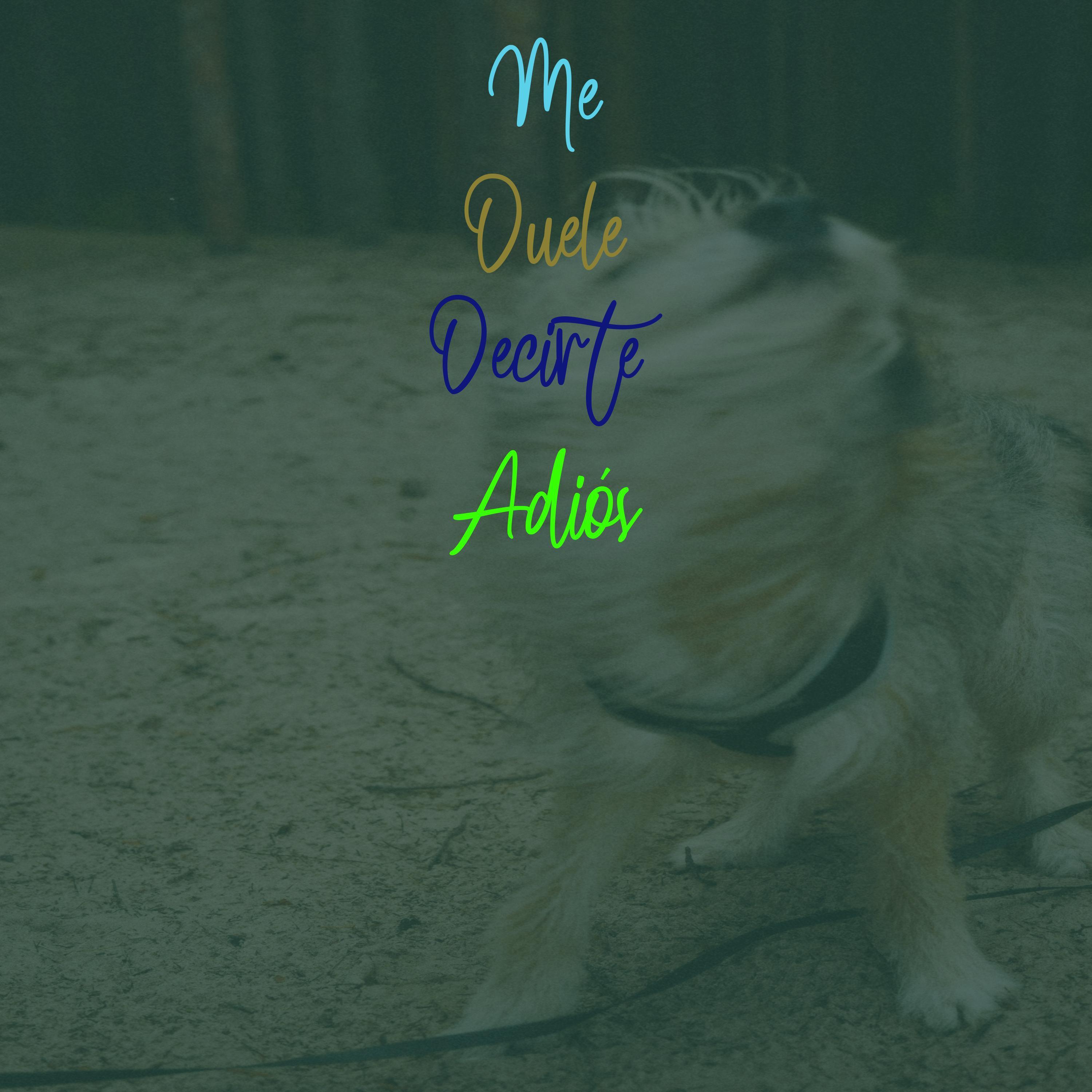 Me Duele Decirte Adiós