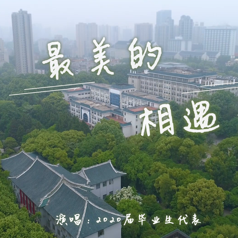 最美的相遇 伴奏封面