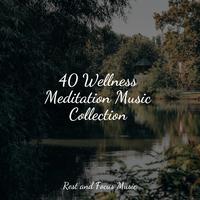 40 Wellness Meditation Music Collection