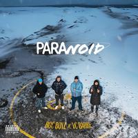 Paranoid (feat. VC Barre)