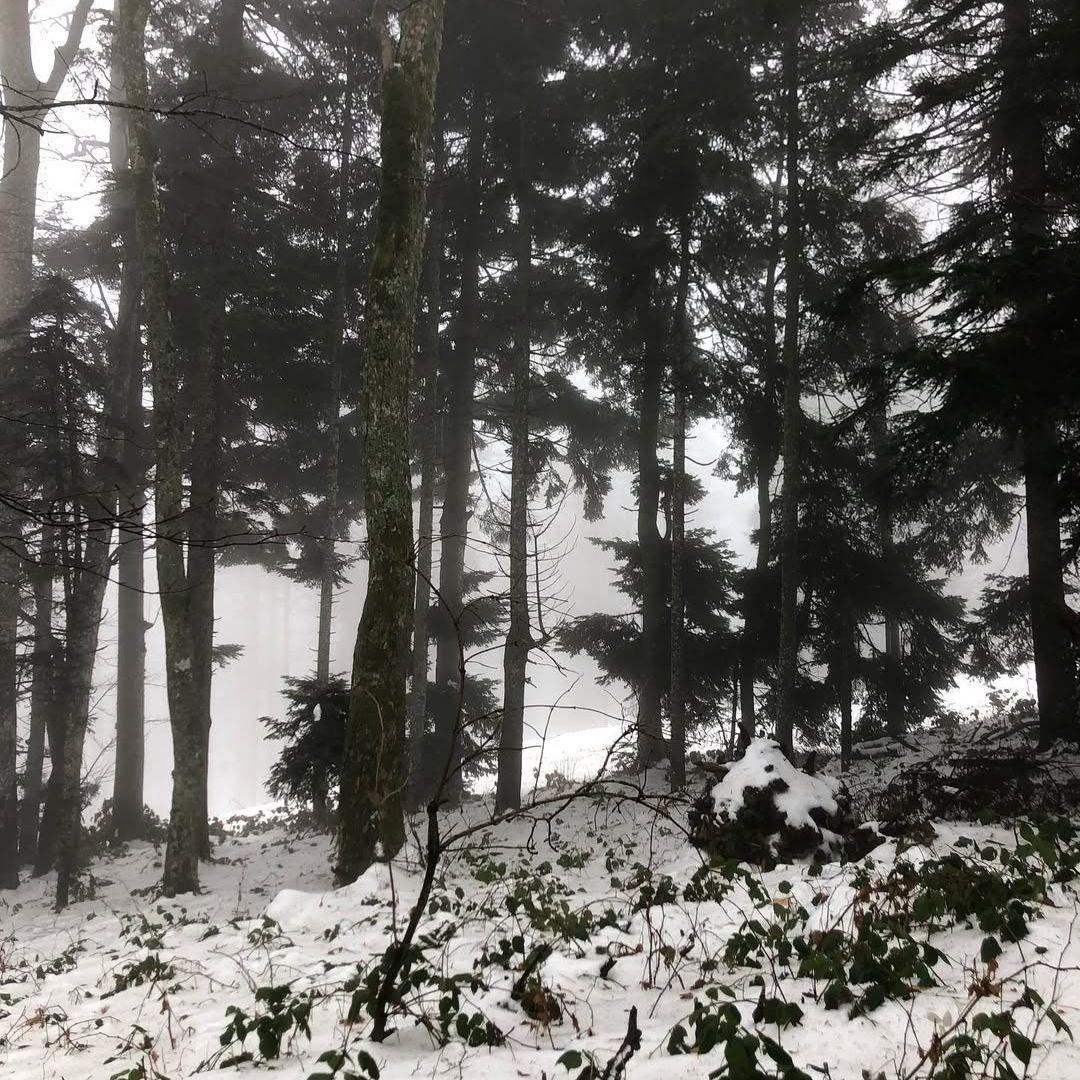 Rain - 하루도 (Not A Single Day) slowed