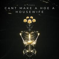 Cant Make A Hoe A Housewife