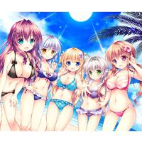 「姫と乙女のヤキモチLOVE」ボーカルソングアルバム「きらめき夏ソング！」