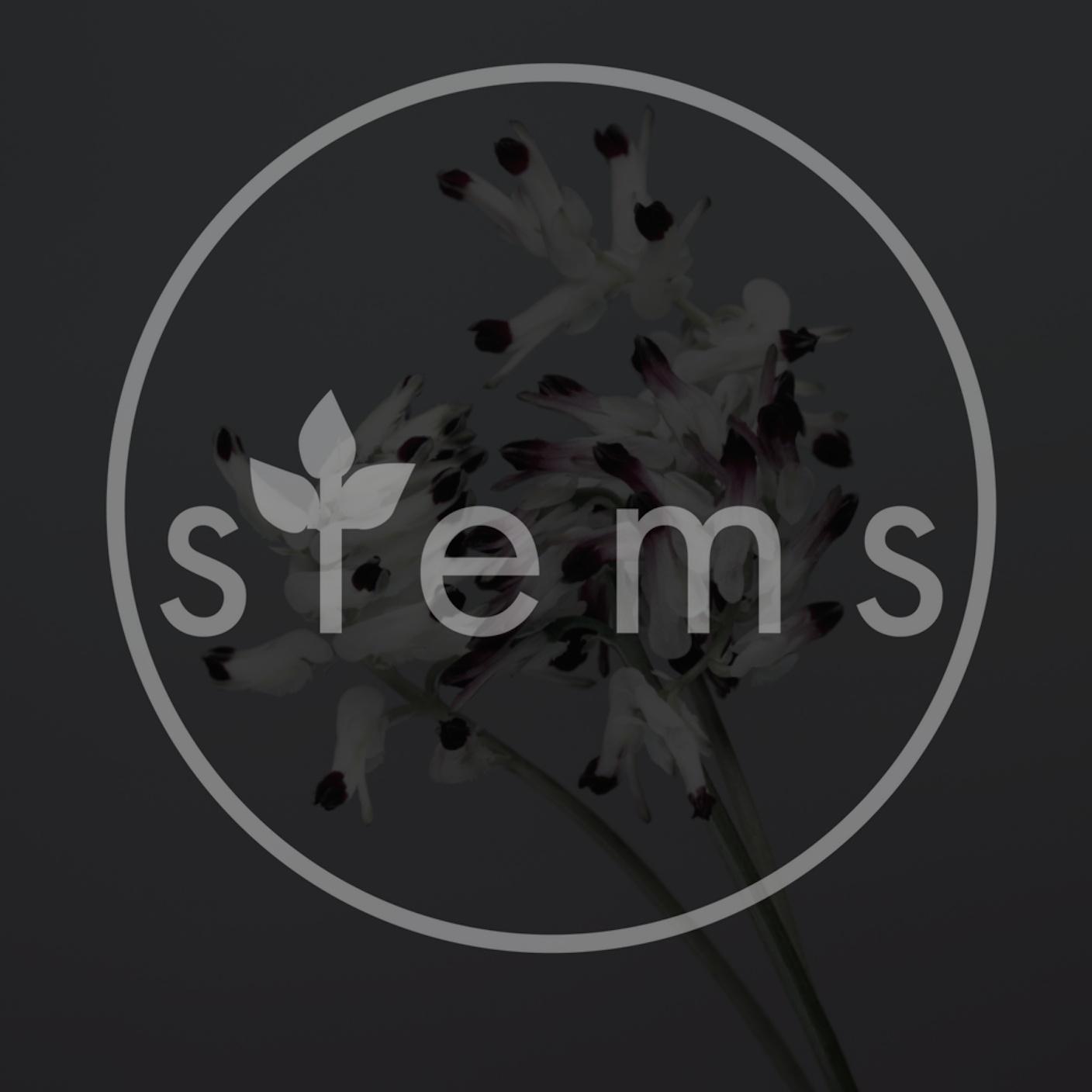 Sonder (Tiber Remix)