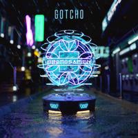 Gotcho