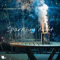 Sparkling Night