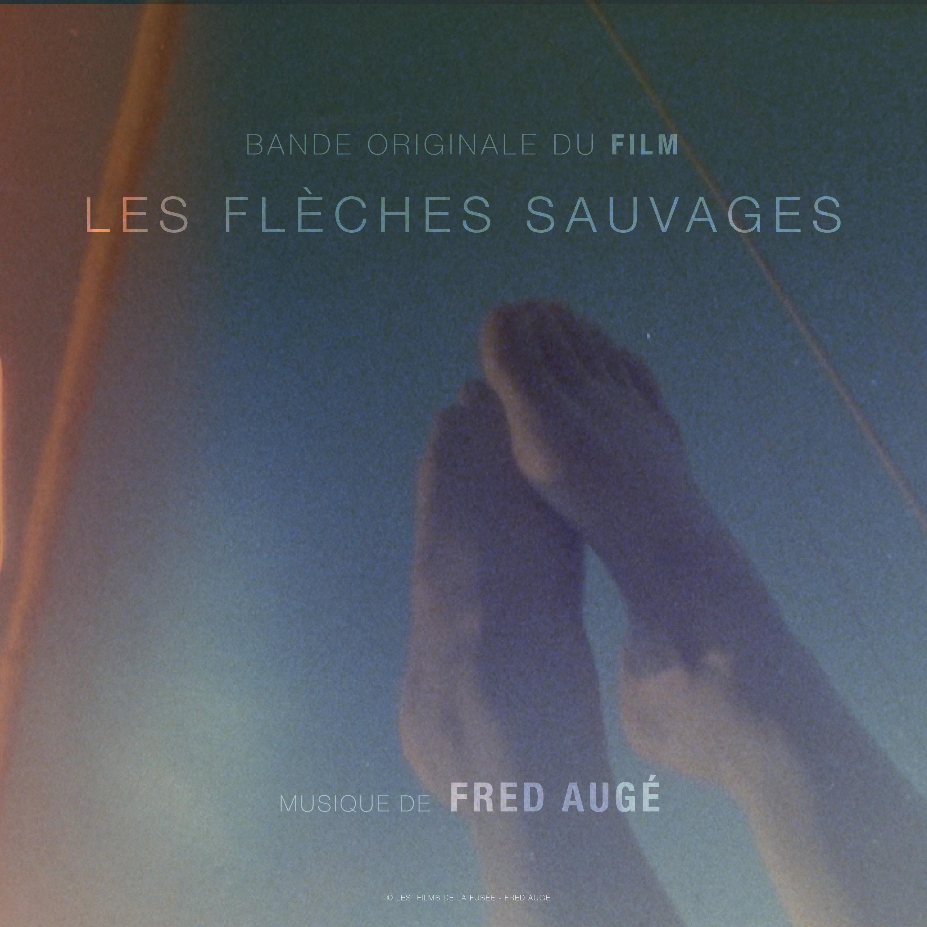 Les Flèches Sauvages (Bande Originale du Film)