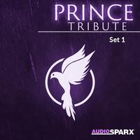 Prince Tribute, Set 1