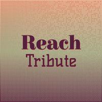 Reach Tribute