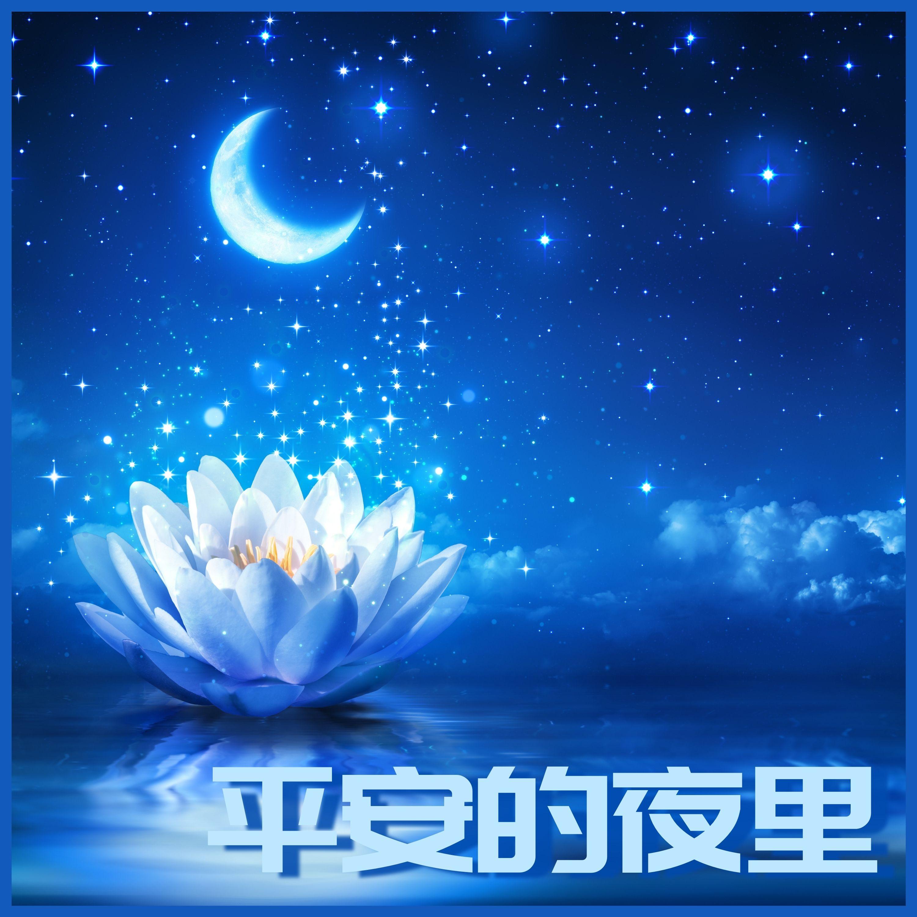 睡眠周期封面