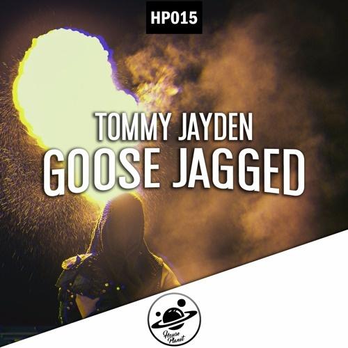 Goose Jagged (Original Mix)
