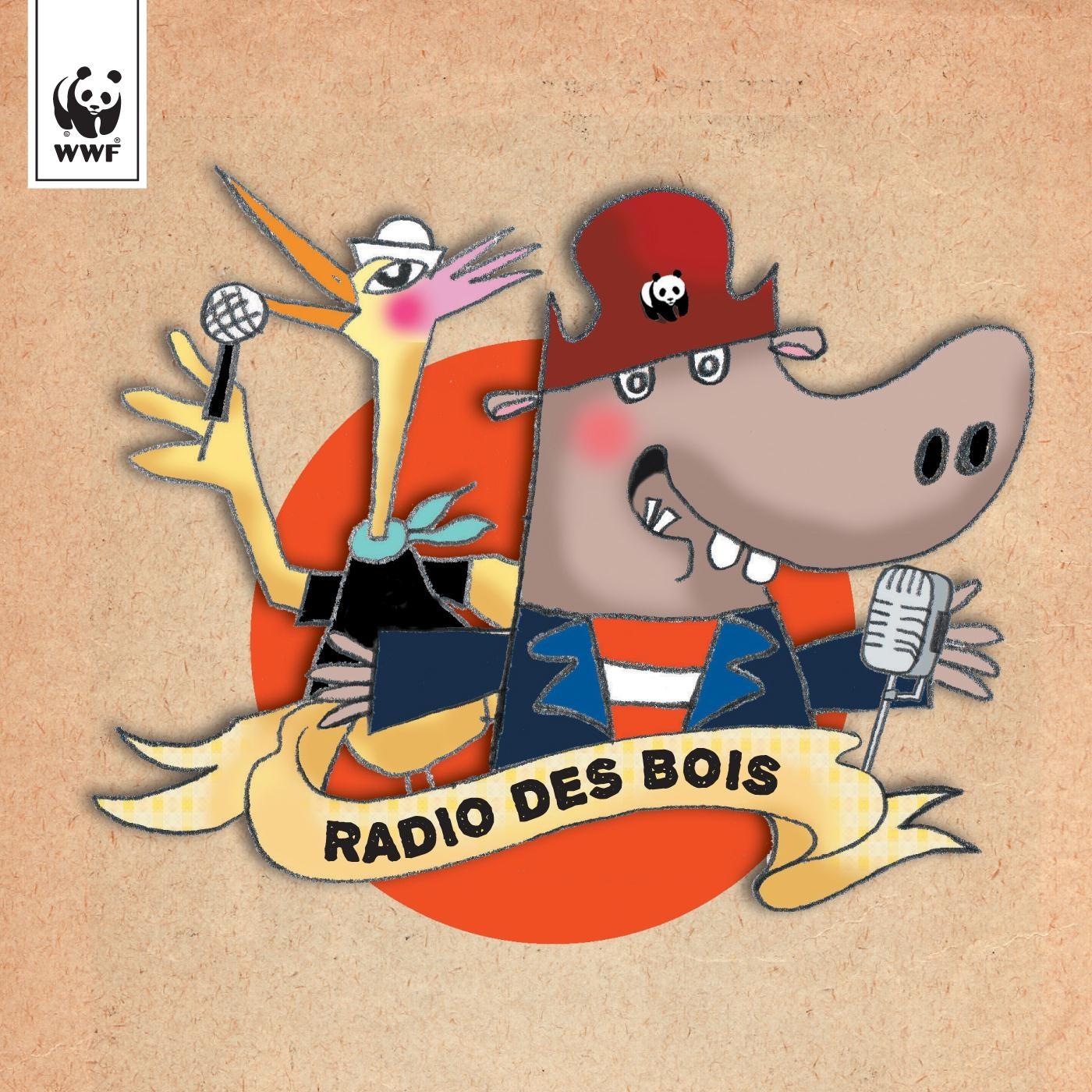 Dimi (feat. Mat Bioul)