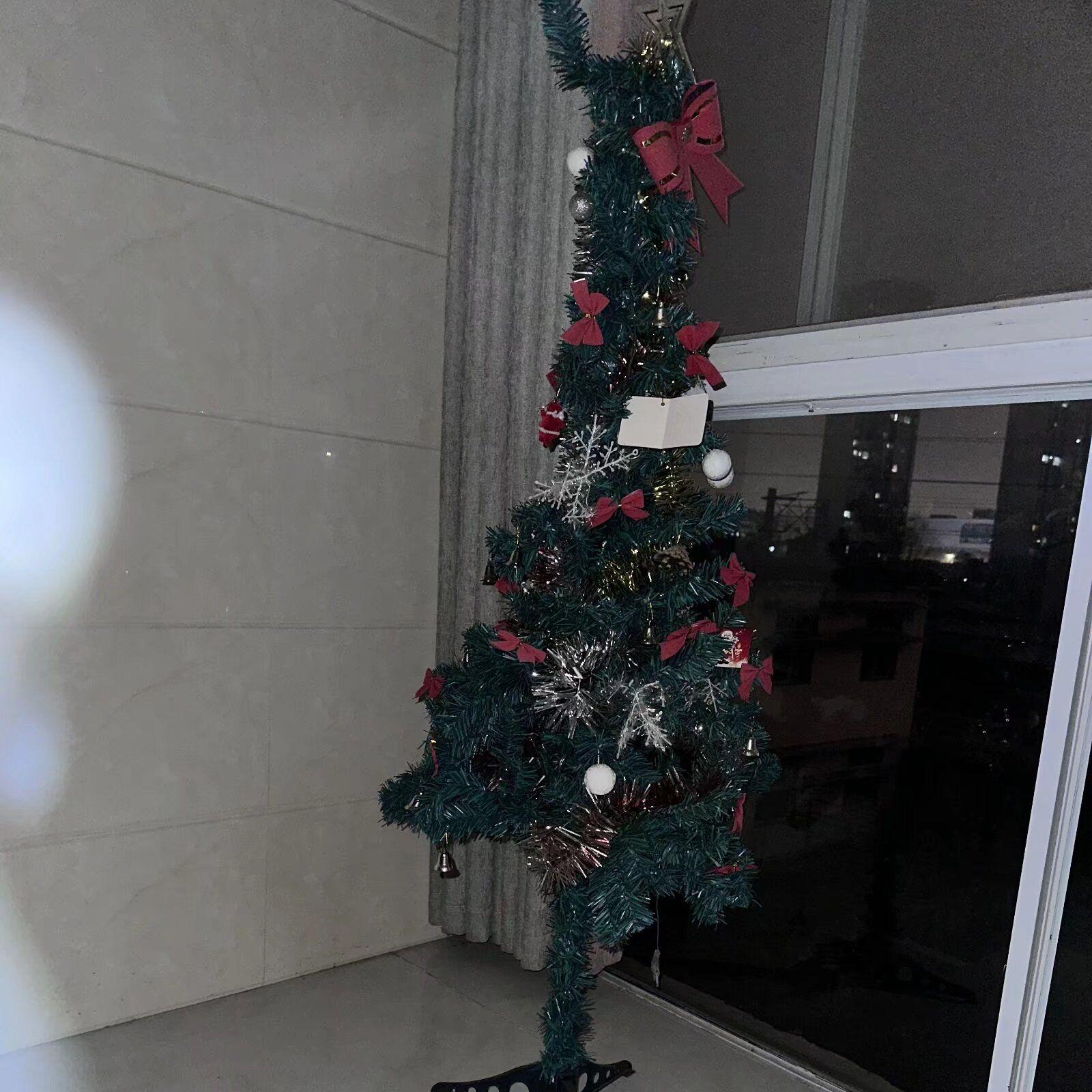 孤单树 Prod.RoyalBoyBrazy