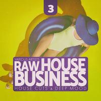 Raw House Business, Vol. 3