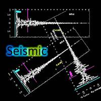 Seismic