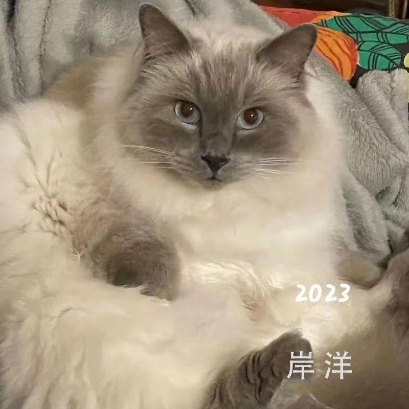 爱情旅程封面