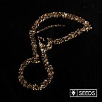 Seeds