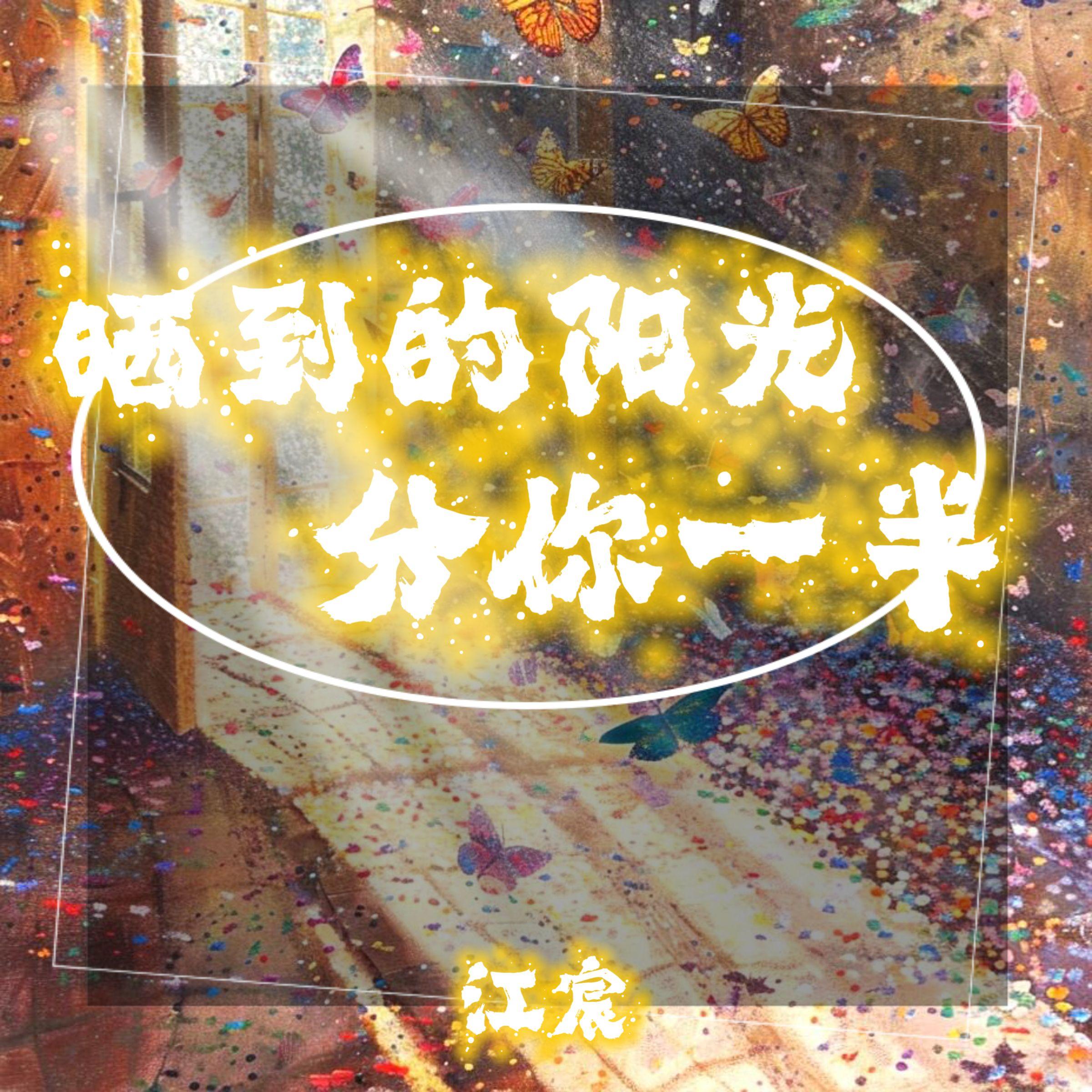 阳光分你一半封面