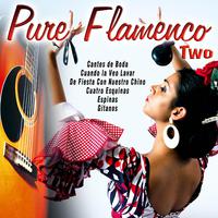 Pure Flamenco Two