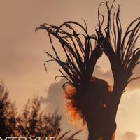 Sytryus