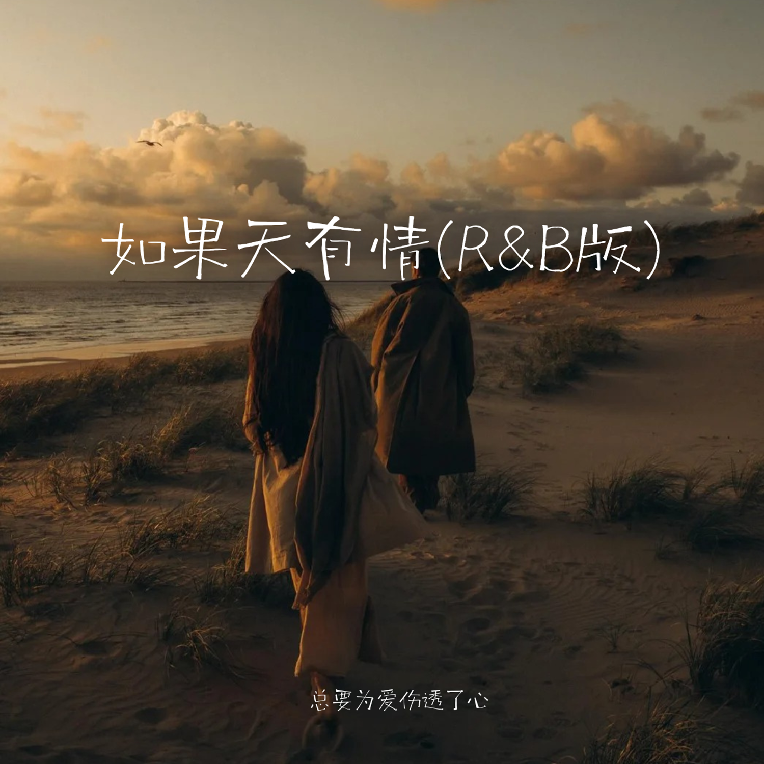 如果天有情(R&B版)封面