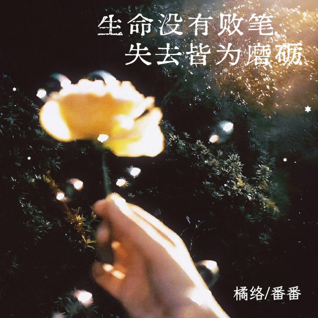 生命没有败笔 失去皆为磨砺封面