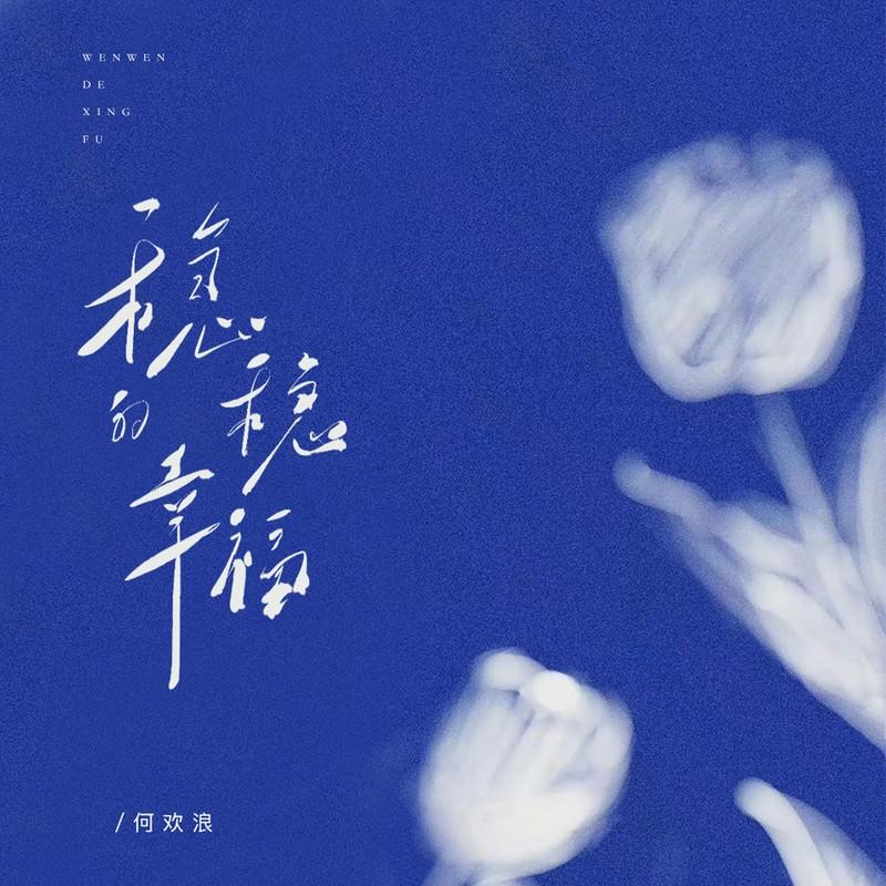 稳稳的幸福 (DJ豪大大版)封面