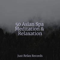 50 Asian Spa Meditation & Relaxation