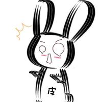 陈皮皮