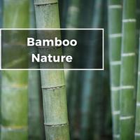 Bamboo Nature