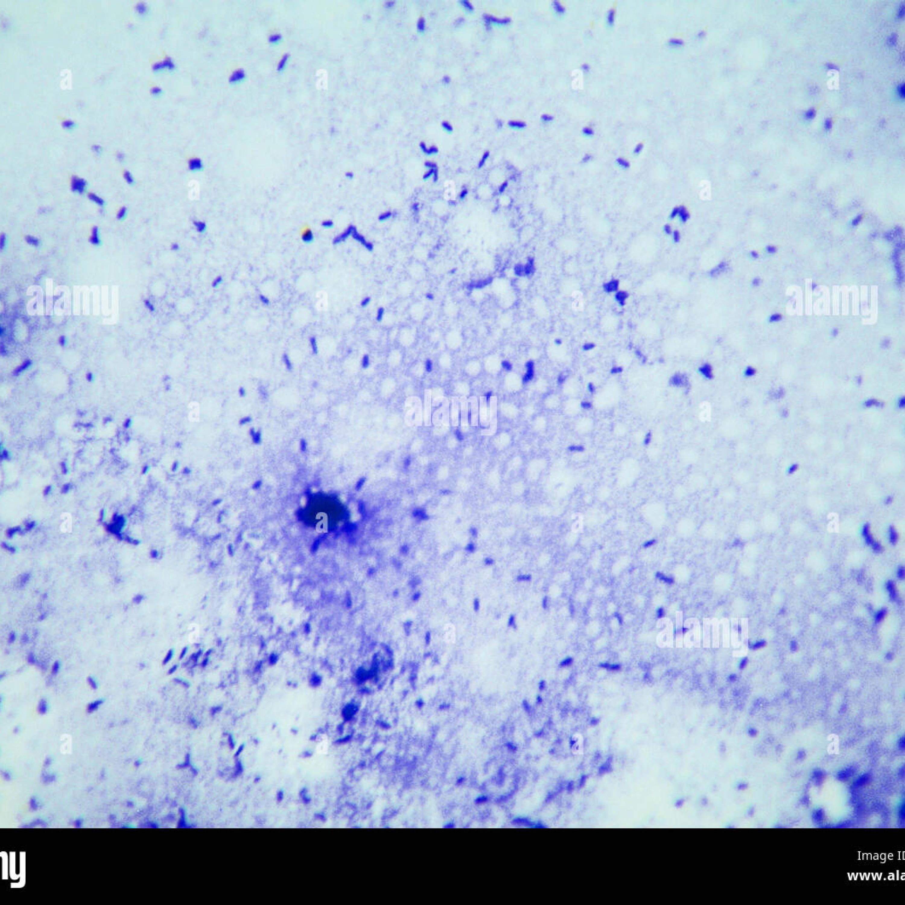 No Proof of Gods Existence