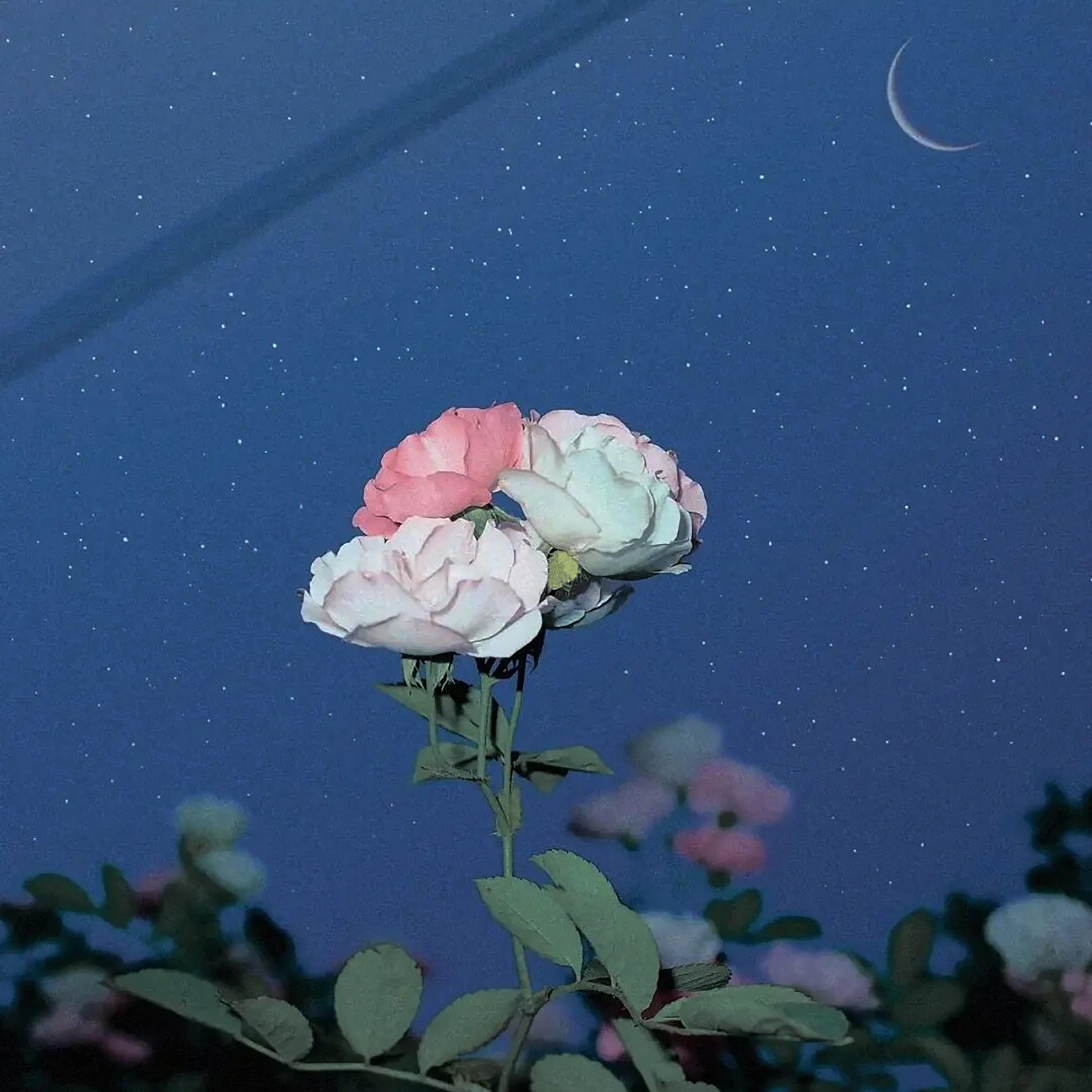 睡眠曲 一秒入睡封面