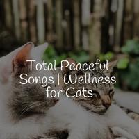 Music for Resting Cats